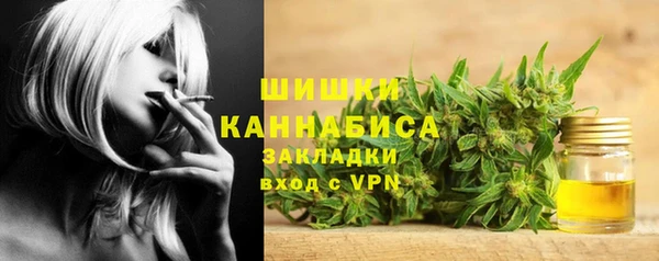 крисы Богородск