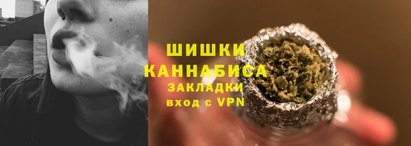крисы Богородск