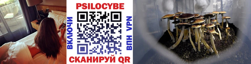 Псилоцибиновые грибы Psilocybine cubensis  мега ССЫЛКА  Тверь 